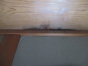 【中野市】雨漏れ調査で分かった外壁と屋根の危険な接点とは?