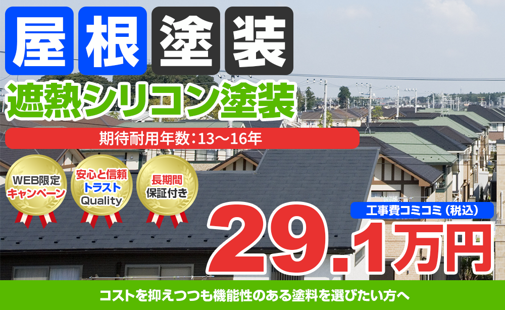 超耐候無機EXコートJY-IR塗装 29.1万円